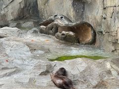 -宁波野生动物园