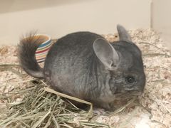 -龙猫仔乐园(惠福东路店)