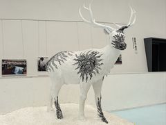 -中国湿地博物馆