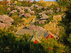 -泰山风景名胜区