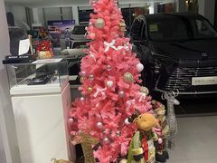 -东昌别克(花木店)