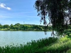 -东莞植物园