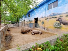 -西安秦岭野生动物园