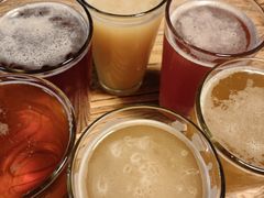 -40+精酿啤酒俱乐部(国投财富广场店)