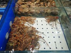 -海味当家·蒸锅海鲜(中山广场创始店)