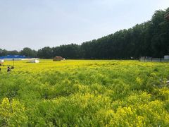 -天津武清北运河郊野公园房车露营地