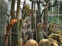 -国家植物园南园