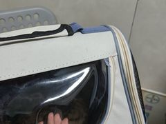 -半岛宠物医院24小时(白果林店)