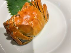 黄河口大闸蟹-村长家的疙瘩汤·东营菜(东营茶城店)