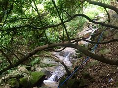 -火炉山森林公园