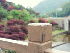 -四明山国家森林公园