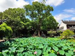 -上海醉白池公园