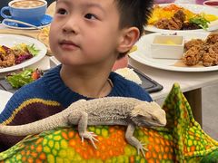 -FAIRYLAND龙族星球主题餐厅(凯丹广场店)