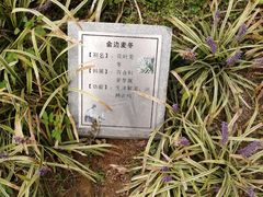 -李时珍纪念馆