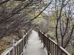 -野三坡百草畔景区