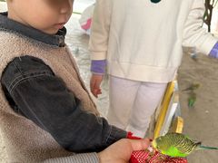 -南湖梦幻岛