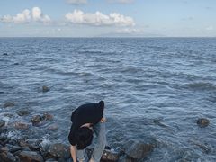 -野狸岛