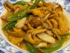 -菌之家·专业纯野生菌火锅·特色炒菌