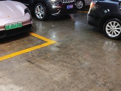-金瑞轩大酒楼·顺德鱼生·粤菜海鲜(东江国际店)