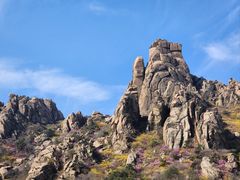-青岛大珠山景区