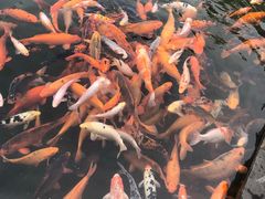 -万景饭店·鱼街农家菜