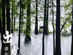 -东湖落雁景区