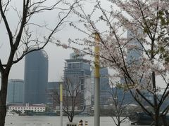 -上海山野camping·户外天幕烧烤·团建拓展营地