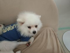 -怪兽屋·羊驼·猫咖·狗咖(俊华广场店)