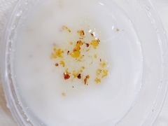 桂花冰豆花-鸿先阁·干煸虾(星沙店)
