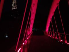-金鸡山公园