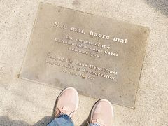 -怀托摩萤火虫洞