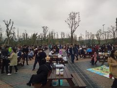 -枫香湖儿童公园