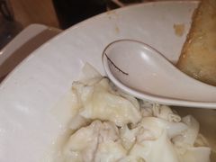 -琴岛顺天馄饨(乐客城店)