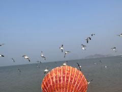 -养马岛旅游度假区