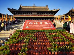 -大槐树寻根祭祖园