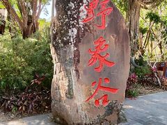-野象谷景区