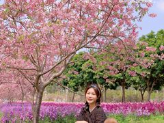 -天适樱花悠乐园