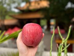 -深圳仙湖植物园