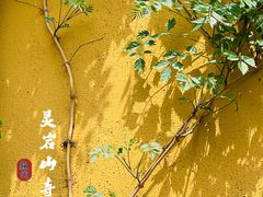 -灵岩山风景区