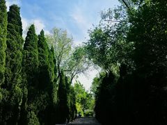 -抱犊寨风景区
