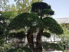 -济南国际园博园