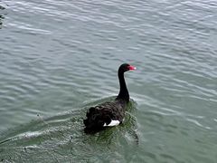 -上海交通大学(闵行校区)