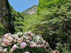 -少华山国家森林公园
