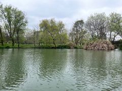 -西溪国家湿地公园