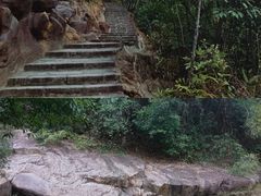 -广州白江湖森林公园