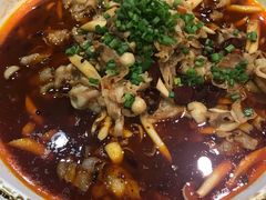 -小辣娇·老成都传统川菜(鹭港店)