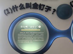 -金钉子远古世界景区