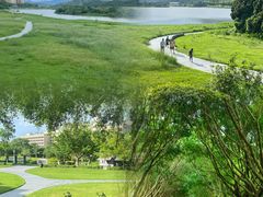 -风云岭森林公园
