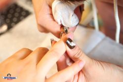 -MORI茉丽日本美甲美睫