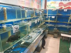 水产区-鼓歌海鲜舫·手抓海鲜(大学城店)